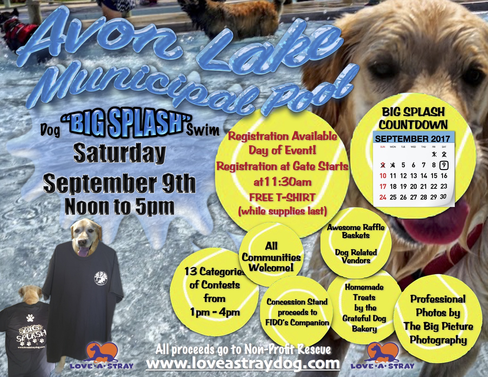 12th Annual Big Splash Dog Swim Flyer 12th Annual Big Splash Dog Swim Flyer