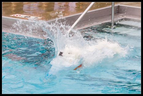 Big Splash Big Splash