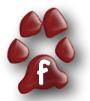 Facebook Paw Facebook Paw