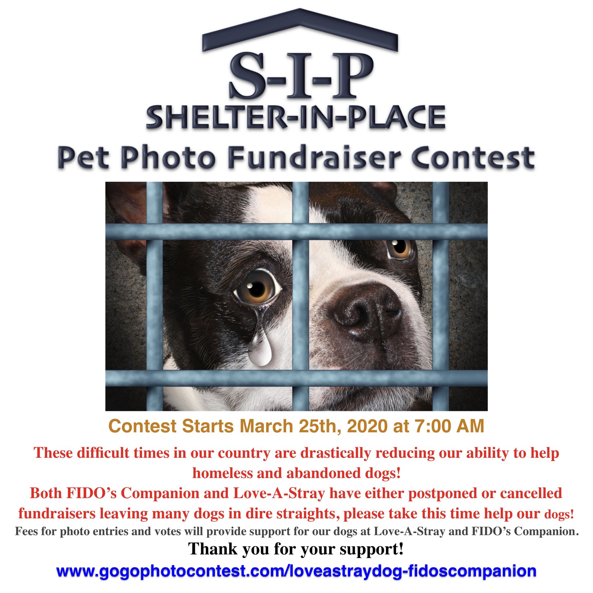 SIP Shelter in Place Photo Contest SIP Shelter in Place Photo Contest