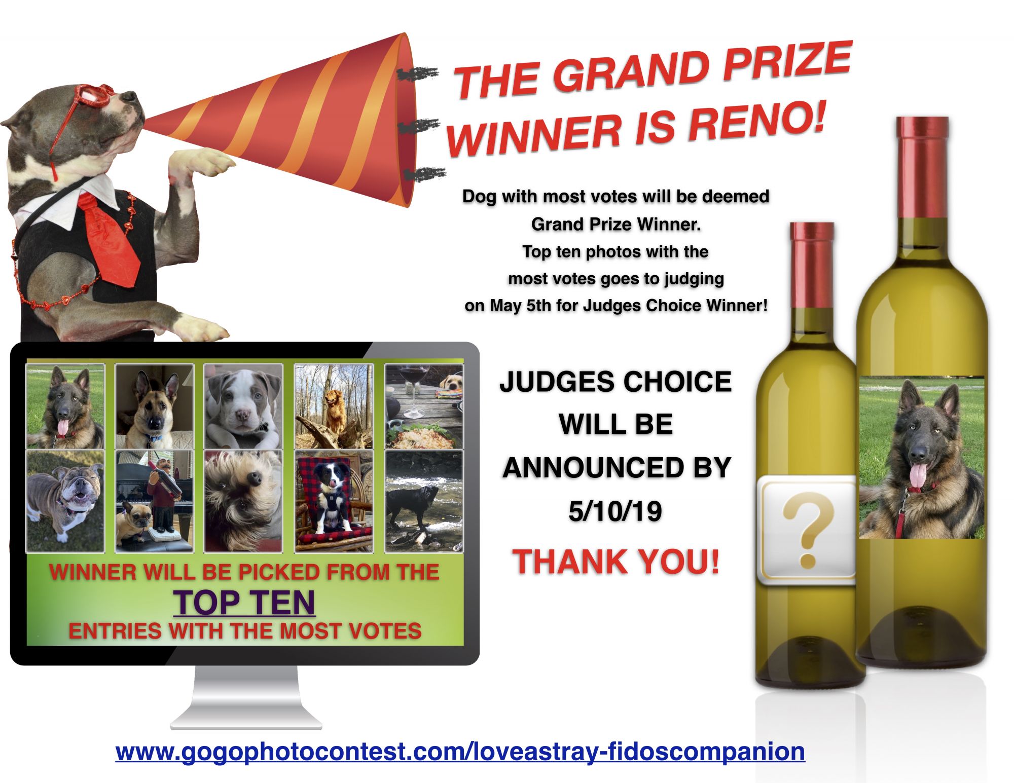 2019 GoGo Pet Photo Winner 2019 GoGo Pet Photo Winner